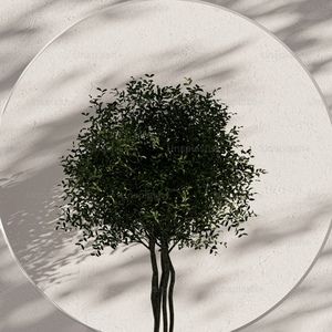 Meet your Posher, Tomek